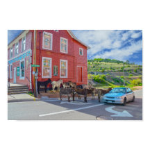 Ezel Ontvangstcommissie, Cripple Creek Colorado