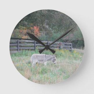 Ezel op een Gebied van de Herfst van de Herfst Ronde Klok
