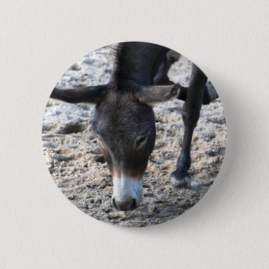 Ezel Ronde Button 5,7 Cm (Voorkant)