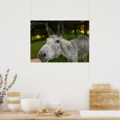Ezel Schattelijk Muildier Boerderij Dier Land Best Poster (Keuken)