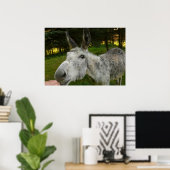 Ezel Schattelijk Muildier Boerderij Dier Land Best Poster (Thuiskantoor)