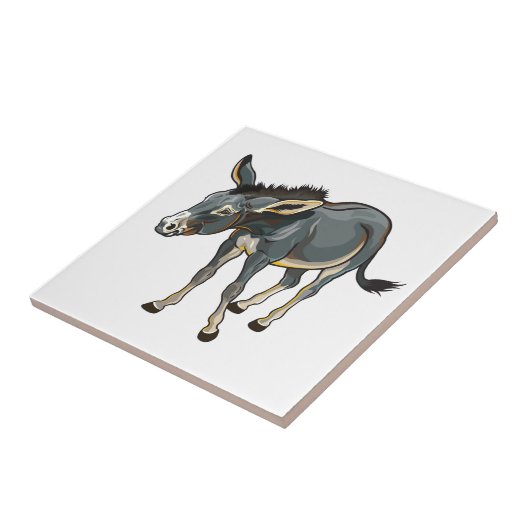 ezel tegeltje (Zijkant)