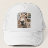 "Ezel" Trucker Pet
