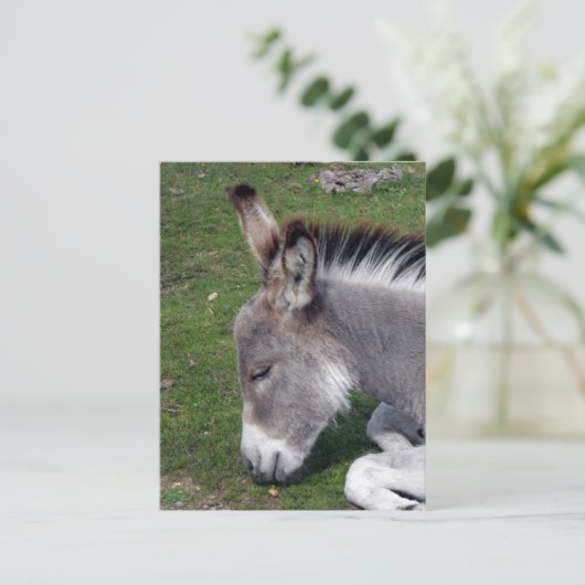 Ezel Veulen portret Briefkaart (Staand voorkant)