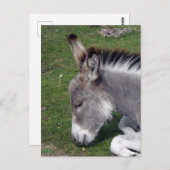 Ezel Veulen portret Briefkaart (Voorkant / Achterkant)