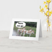 EZEL WIL NIET TE LAAT KOMEN VOOR JE VERJAARDAG KAART (Gele Bloem)