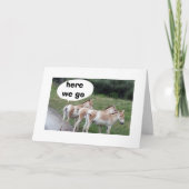 EZEL WIL NIET TE LAAT KOMEN VOOR JE VERJAARDAG KAART (Voorkant)