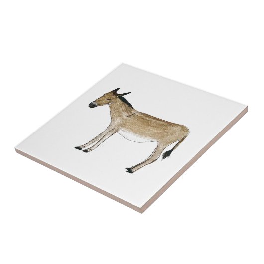 Ezelboerderij Dieren waterverf Boerderij kunst Tegeltje (Zijkant)