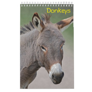 Ezelkalender Kalender