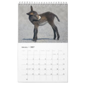 Ezelkalender Kalender (Jan 2027)