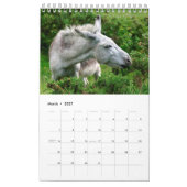 Ezelkalender Kalender (Mar 2027)