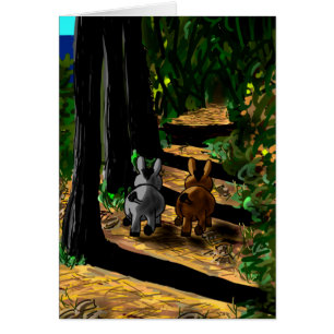 ezels die in schaduwen lopen