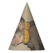 Ezels - Feest Pet Feesthoedjes (Links)