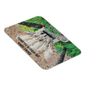 Ezels magneet (Rechterzijde)