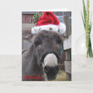 "Ezels maken geweldige Santas!" Feestdagen Kaart