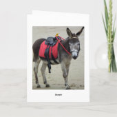 ezels rit op een strandkaart kaart (Achterkant)