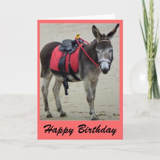 ezels rit op een strandkaart kaart (Voorkant)