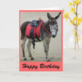 ezels rit op een strandkaart kaart (Gele Bloem)