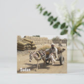 Ezelskar in Soedan Briefkaart (Staand voorkant)