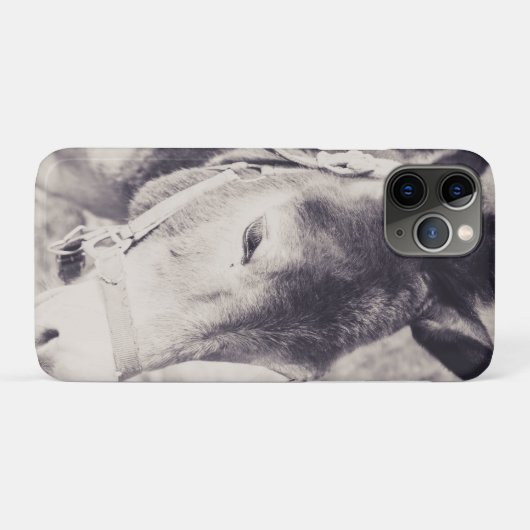Ezelskop 001 Case-Mate iPhone case (Achterkant (horizontaal))