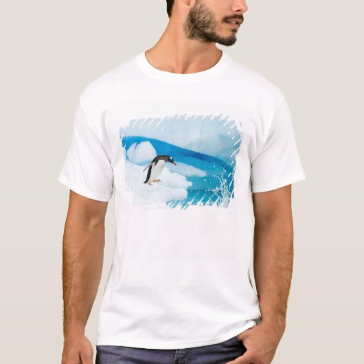 Ezelspinguïn, Pygoscelis Papua, springt eraf T-shirt (Voorkant)