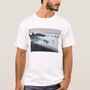 Ezelspinguïns T-shirt