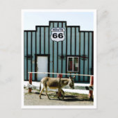 Ezelstad Oatman Arizona Briefkaart (Voorkant)