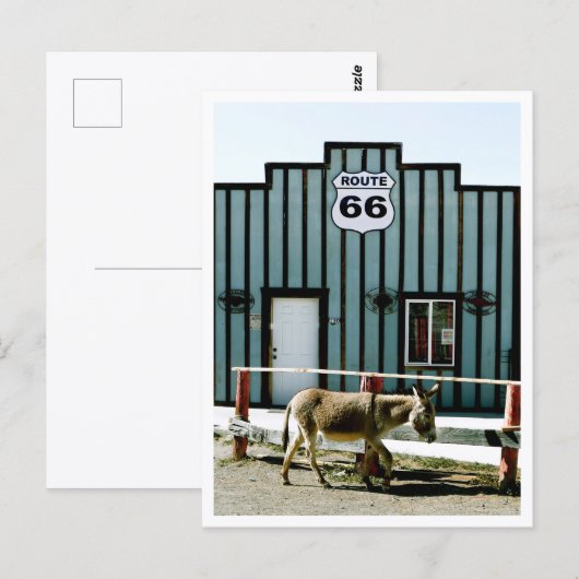 Ezelstad Oatman Arizona Briefkaart (Voorkant / Achterkant)