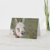 Ezelsverjaardagskaart Kaart (Achterkant)