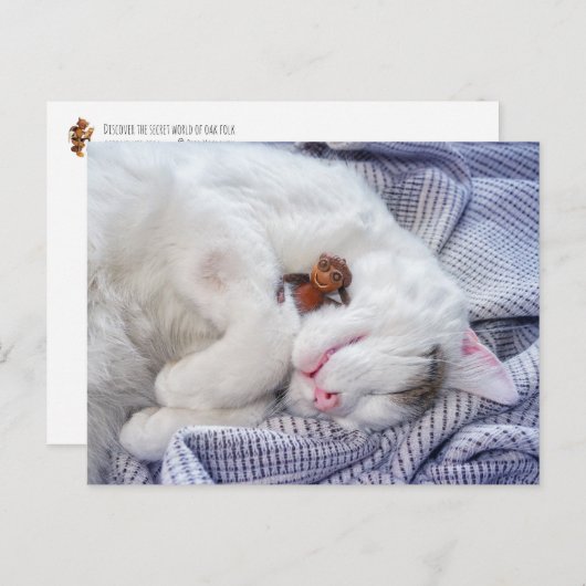 Ezeltje met de kat briefkaart (Voorkant / Achterkant)