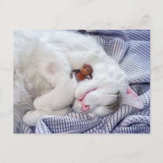 Ezeltje met de kat briefkaart (Voorkant)