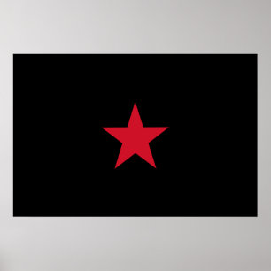 Ezln, Colombiaanse vlag Poster