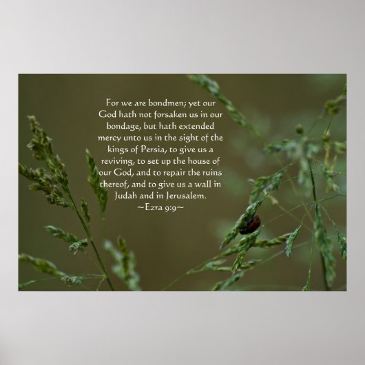 Ezra 9:9 poster (Voorkant)