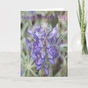 F0018 Paarse Wilde Bloemen Eenjarige Lupine Kaart