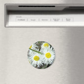 F10 Witte wilde bloemen, getufte Fleabane Magneet (Insitu (Vaatwasser))