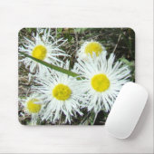 F10 Witte wilde bloemen, getufte Fleabane Muismat (Met muis)