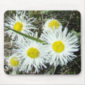 F10 Witte wilde bloemen, getufte Fleabane Muismat (Voorkant)