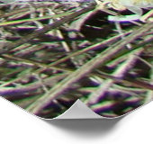 F10 Witte wilde bloemen, getufte Fleabane Poster (Hoek)