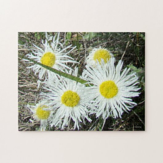 F10 Witte wilde bloemen Pluimfijnstraal Legpuzzel (Horizontaal)