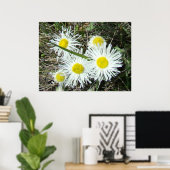 F10 Witte Wilde Bloemen Pluimige Fijnstraal Poster (Thuiskantoor)