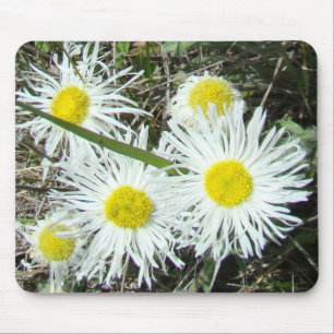 F10 Witte Wilde Bloemen Pluizige Fijnstraal Muismat