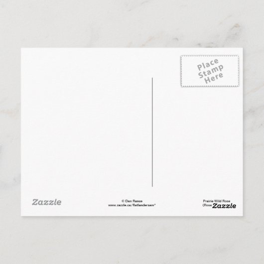 F11 Prairie Wild Roos "Rosa arkansana" Briefkaart (Achterkant)