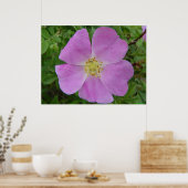 F11 Prairie Wild Roos "Rosa arkansana" Poster (Keuken)