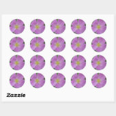 F11 Prairie Wilde Roos "Rosa arkansana" Ronde Sticker (Vel)