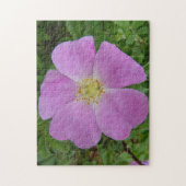 F11 Wilde Roos "Rosa arkansana" Legpuzzel (Verticaal)