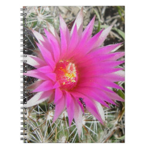 F12 Bal Cactus Bloem "Escobaria vivipara" Notitieboek