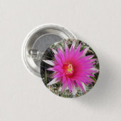 F12 Ball Cactus "Escobaria vivipara" Ronde Button 3,2 Cm (Voorkant /achterkant)