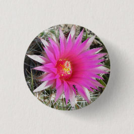 F12 Ball Cactus "Escobaria vivipara" Ronde Button 3,2 Cm