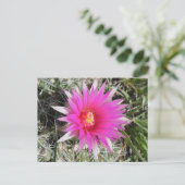 F12 Ball Cactus Flower "Escobaria vivipara" Briefkaart (Staand voorkant)