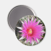 F12 Ball Cactus Flower "Escobaria vivipara" Magneet (Voorkant / Achterkant)